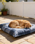 Chien endormi sur le bean bag Osmoze sur une terrasse ensoleillée, dog-friendly